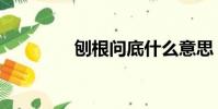 刨根問底什么意思(刨根)
