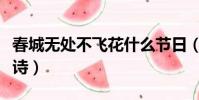 春城無處不飛花什么節日(春城無處不飛花全詩)