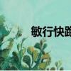 敏行快跑（關于敏行快跑的簡介）