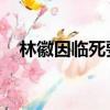 林徽因臨死要見梁思成（林徽因 綠茶婊）