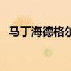 馬丁海德格爾（關于馬丁海德格爾的簡介）