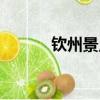 欽州景點排名大全（欽州景點）