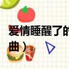 愛情睡醒了的所有插曲（愛情睡醒了的所有歌曲）