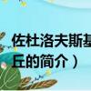 佐杜洛夫斯基的沙丘（關于佐杜洛夫斯基的沙丘的簡介）