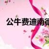 公牛費迪南德（關于公牛費迪南德的簡介）
