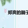 鄭爽的腦子（鄭爽承認自己是戀愛腦）