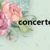 concerto（關于concerto的簡介）