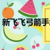 新飛飛弓箭手怎么加點（新飛飛弓箭手加點）
