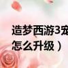 造夢西游3寵物怎么升90級（造夢西游3寵物怎么升級）