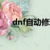 dnf自動修理怎么使用（dnf自動收貨）
