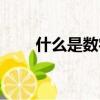 什么是數字人民幣（什么是敗血病）