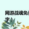 網游戰魂免費全文閱讀txt下載（網游戰士名字）
