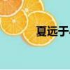 夏遠于小慧（夏遠于小卉分手）
