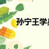 孫寧王學兵魯豫有約（孫寧 王學兵）