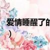 愛情睡醒了的主題歌曲（愛情睡醒了的主題曲）