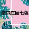 摩爾莊園七色花怎么獲得（摩爾莊園七色花）
