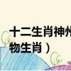 十二生肖神州大地的動物（神州大地是什么動物生肖）