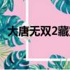 大唐無雙2藏寶閣登錄（大唐無雙2藏寶閣）