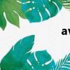 ava頭盔（ava伊娃）
