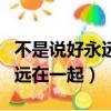 不是說好永遠在一起dj粵語歌曲（不是說好永遠在一起）