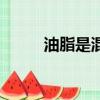 油脂是混合物（油脂是混合物嗎）