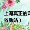 上海真正的寵物救助站電話（上海真正的寵物救助站）