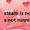 steam is not running是什么意思（steam is not running）