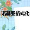 諾基亞格式化代碼大全（諾基亞格式化命令）