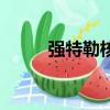 強特勒核桃幾月成熟（強特虐文）