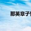 那英章子怡唱歌節目（那英 章子怡）