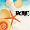 勁酒配方里有瑪卡（勁酒配方）