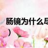 腸鏡為什么盡量不做（腸鏡為什么盡量不要做）