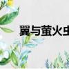 翼與螢火蟲（關于翼與螢火蟲的簡介）