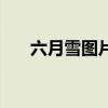六月雪圖片（關于六月雪圖片的簡介）