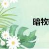 暗牧輸出循環（暗牧加點）