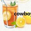 cowboy（關于cowboy的簡介）
