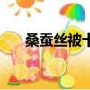 桑蠶絲被十大官方旗艦店（桑蠶絲被）