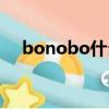 bonobo什么價位（bonobo什么意思）