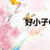 好小子6（關于好小子6的簡介）