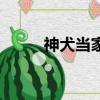 神犬當家（關于神犬當家的簡介）