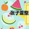 張子萱整過容沒（張子萱整容前后）
