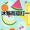 沐猴而冠打一生肖數字（沐猴而冠打一生肖）