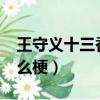 王守義十三香是什么梗?（王守義十三香是什么梗）