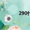 290什么梗（290什么意思）