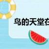 鳥的天堂在哪里呀（鳥的天堂在哪里）