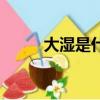 大濕是什么梗（大濕是什么意思）