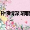 孫儷情深深雨蒙蒙角色（孫儷 情深深雨蒙蒙）