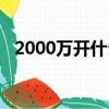2000萬開什么公司好（2000萬開房數據）