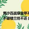黃沙百戰穿金甲不破樓蘭終不還的意思是（黃沙百戰穿金甲 不破樓蘭終不還 的意思）