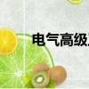 電氣高級工程師（電氣高級工程師）